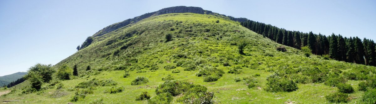 Ipar-ekialdetik ikusita