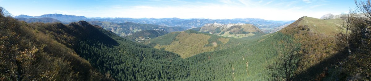 Tontorretik iparraldera begira