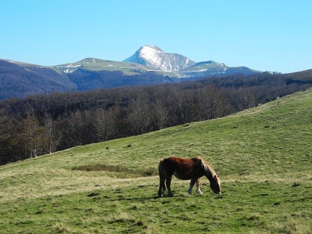 Ori  Apatesaroko bidetik