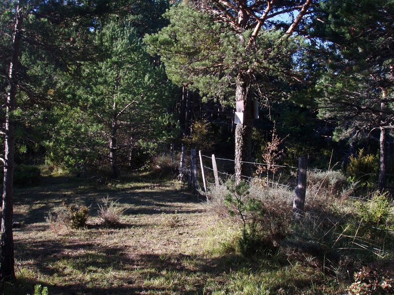 Ugazkioko lepoa, Itzalle eta Adoain artean