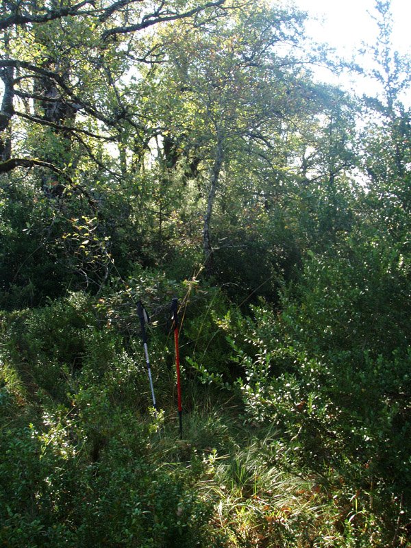 Urdazkaingo punturik altuena.