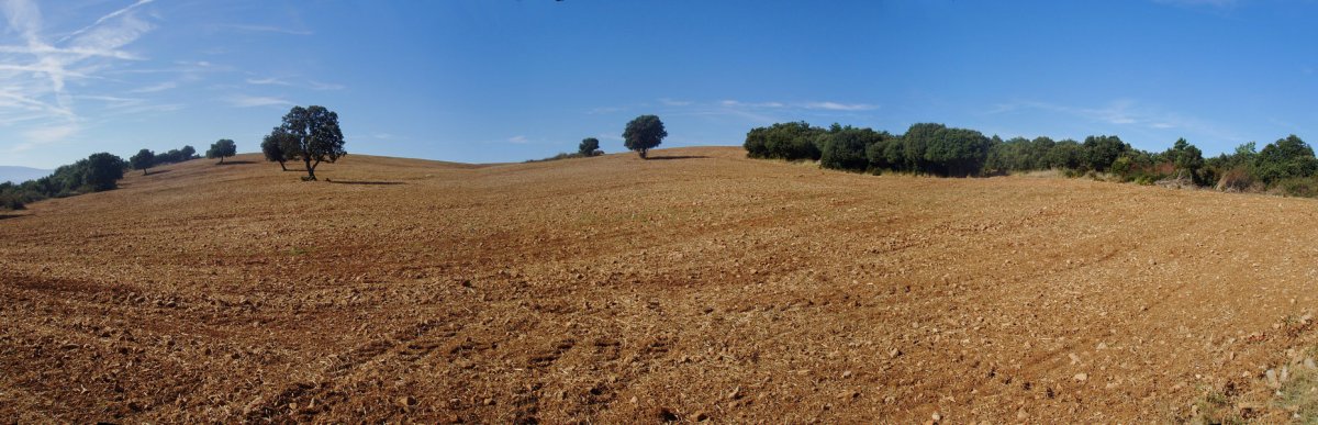 Eskisungo gailurreko soroak