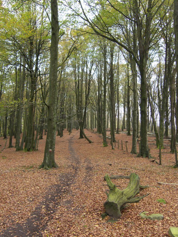 GR20 bidea Argoniz inguruetan