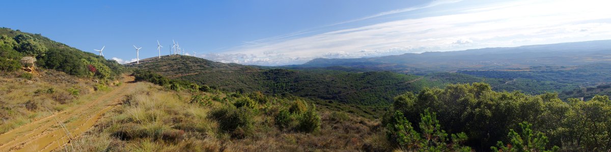 Gerindako gailurra bidetik