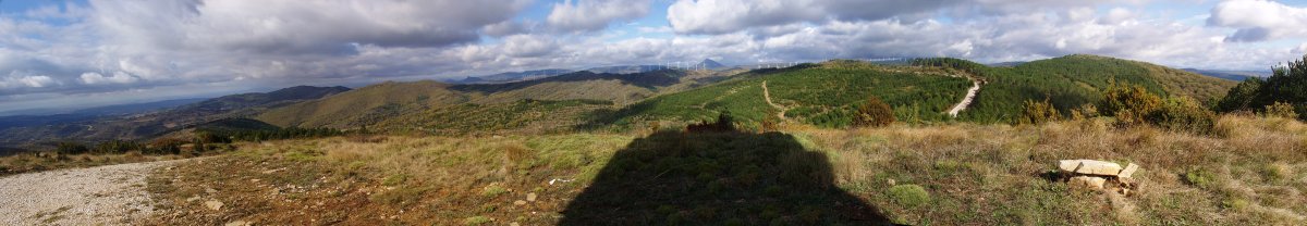 Lerga mendiko gailurra
