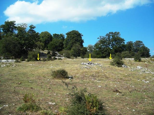 Tximista etxola hondoak