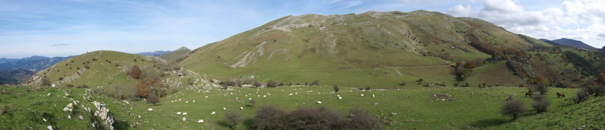 Hegoaldeko hegia, Argarbitik