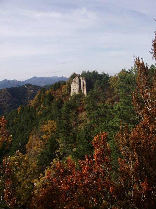 Atsagarbia ekialderagoko kota batetik