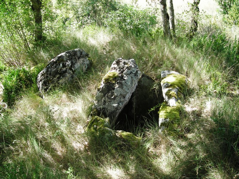 Puente de Bigüezal trikuharria