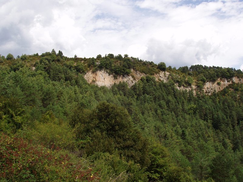 Arain hegoaldeko lepotik