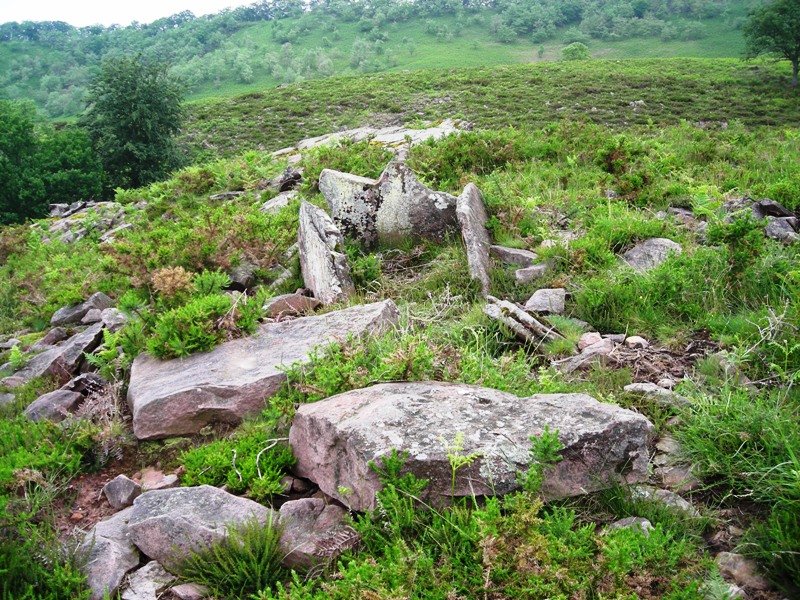 Urriki 2 mendebalde trikuharria