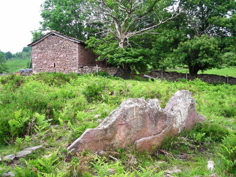 Urriki 1 ekialde trikuharria