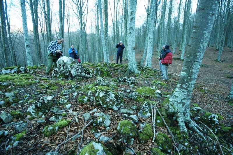 Ansaretako Zaparra trikuharria
