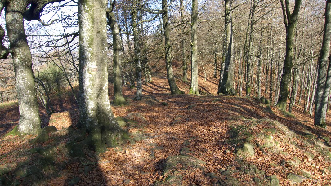 Irumugetatik Txaradigorrira abiatzen