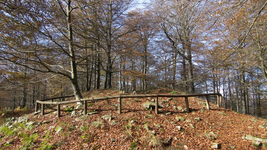 Txaradigorri tontorra