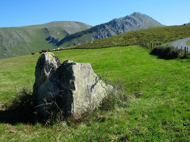 Behorlegi eta Hauskoa atzean dituela