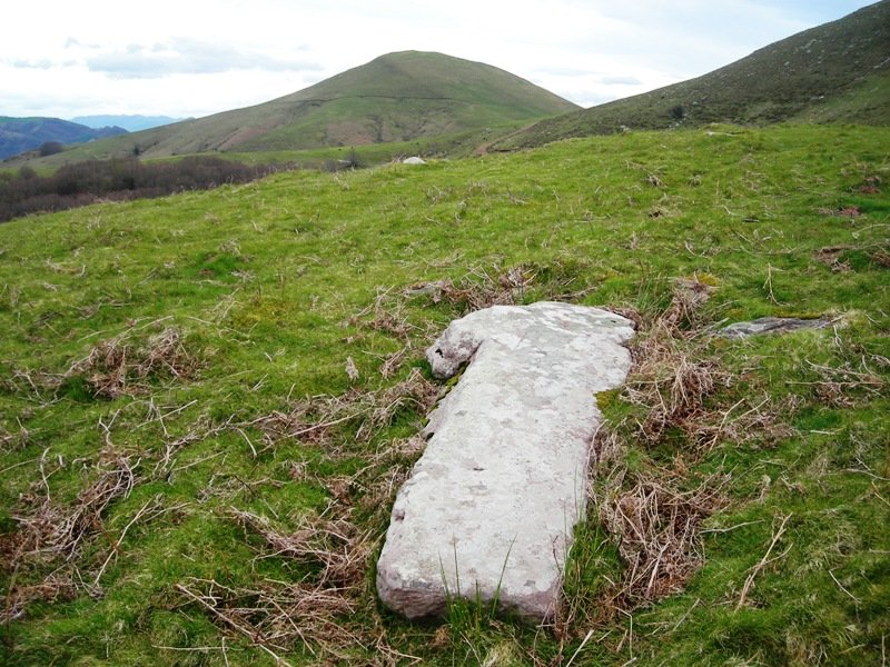 Zelaiako Bizkarra zutarria