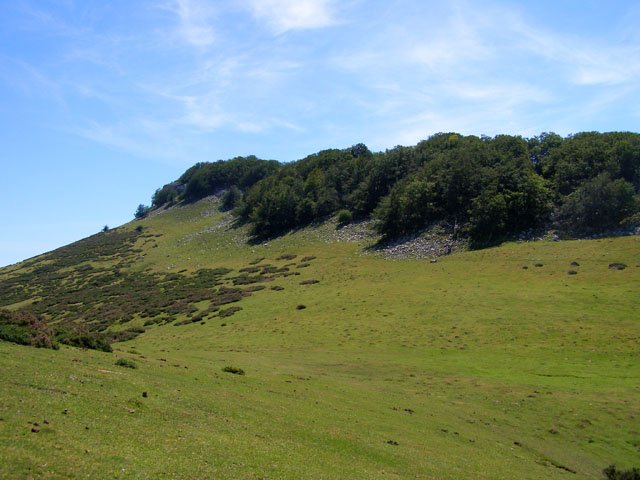 Txorrotxeta eta Txameni