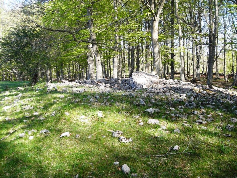 Irutzulo Txikita trikuharria