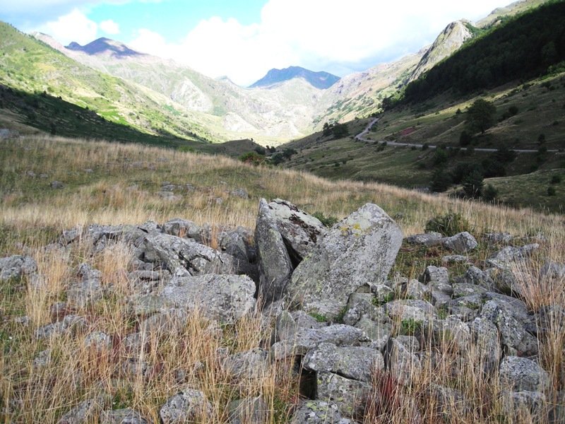 Barranco del Arroyo trikuharria