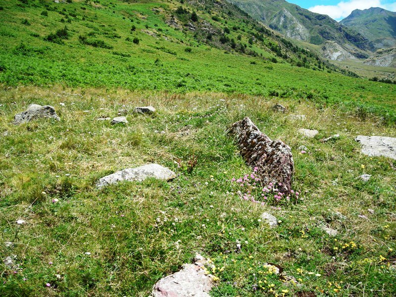 Las Fitas norte trikuharria