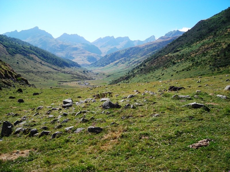 Mallo Blanco trikuharria