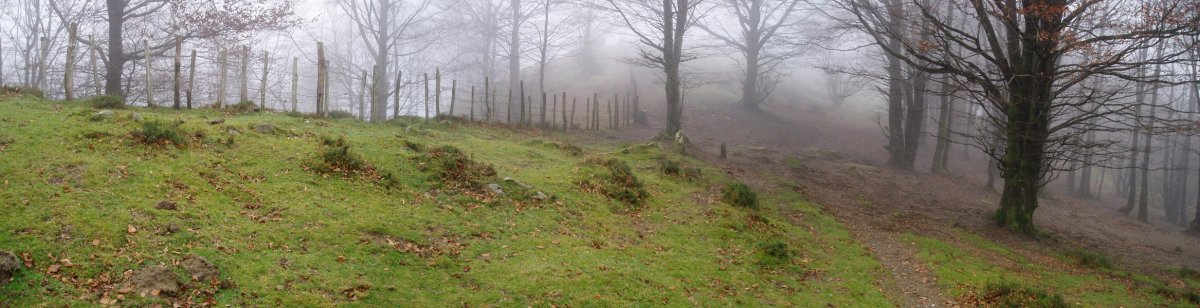 Ibintza mairubaratzak