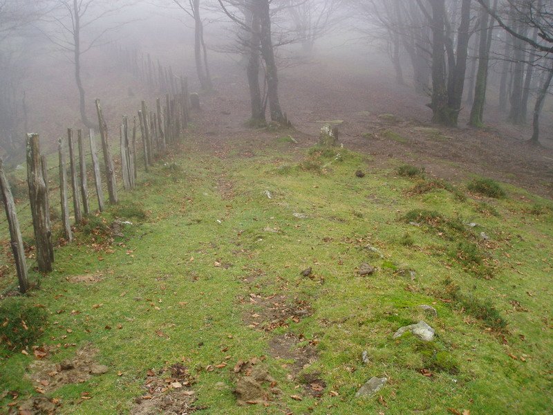 Ibintza mairubaratzak