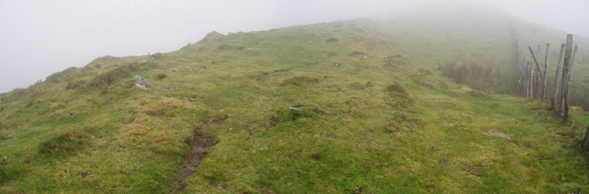 Mistriña mairubaratza