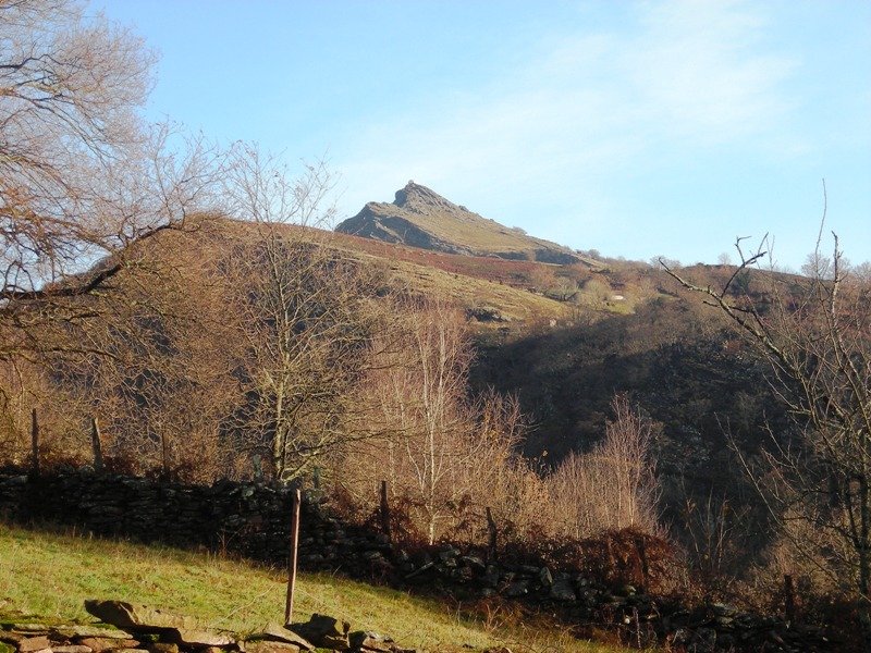 Mendaur , Learra aldetik