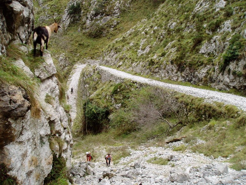 La Bargonako sigi-sagak