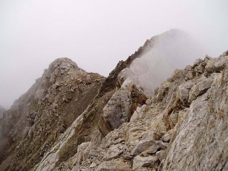 Mendebaldeko gandorra