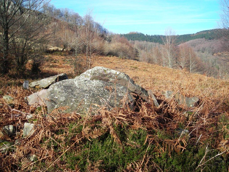 Erroia Gain trikuharria