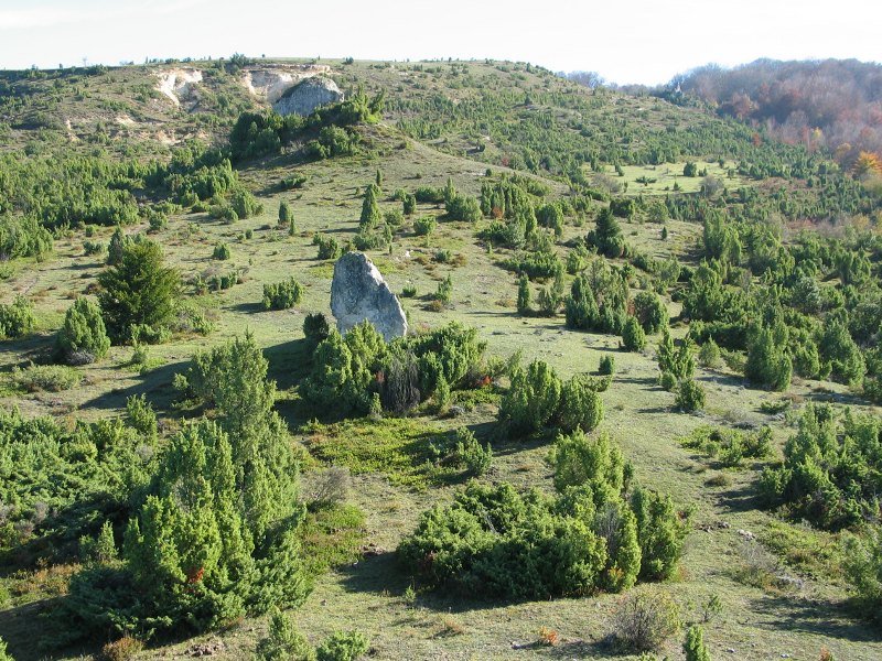 Ipurua eta monolitoak Markinez aldeko bizkarrean