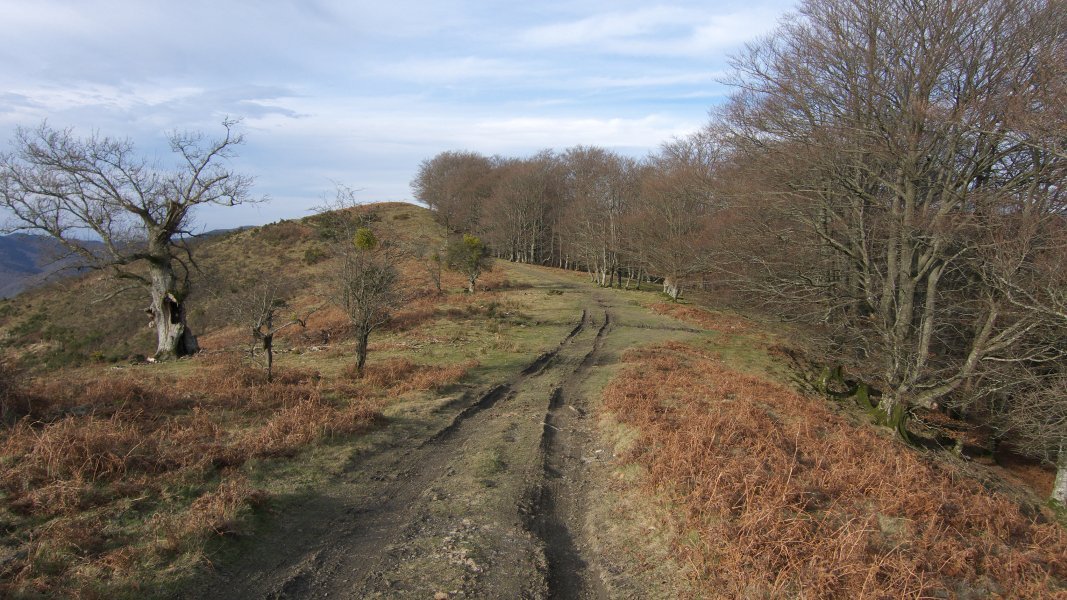 Aritzbakarreko kaskoa