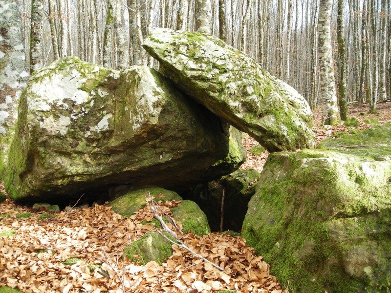 Arzilo 1 ipar trikuharria