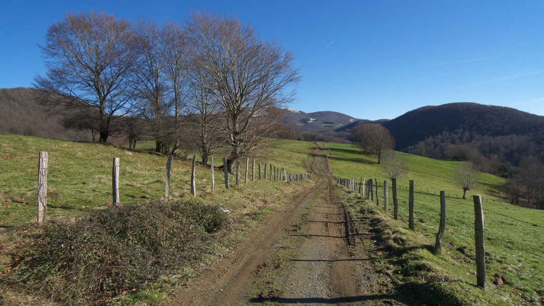 Larre eremu baten ertzean dago