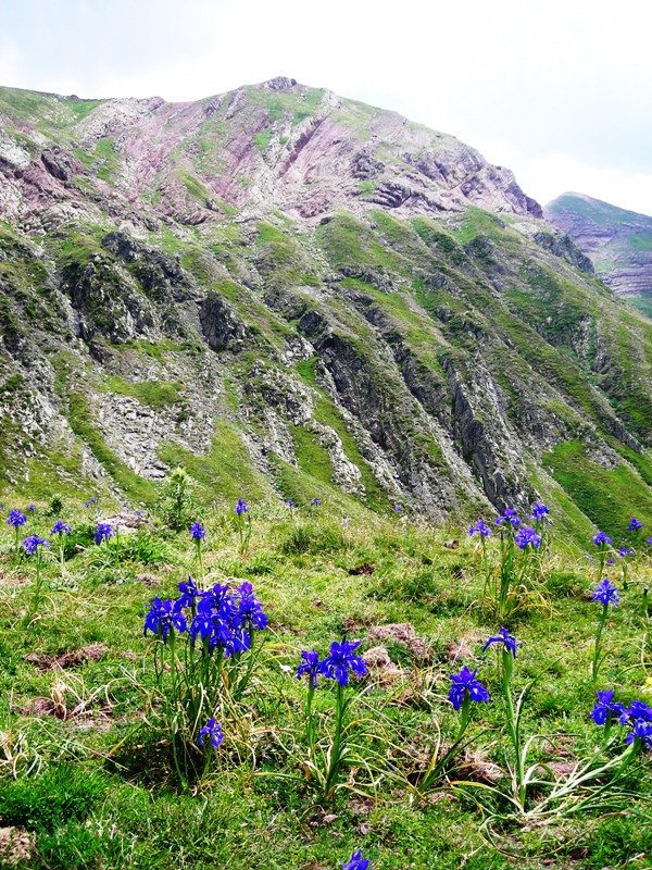 Lore politak  Mallo Blancoko amildegian