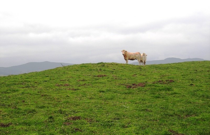 Katillotxu 2 tumulua