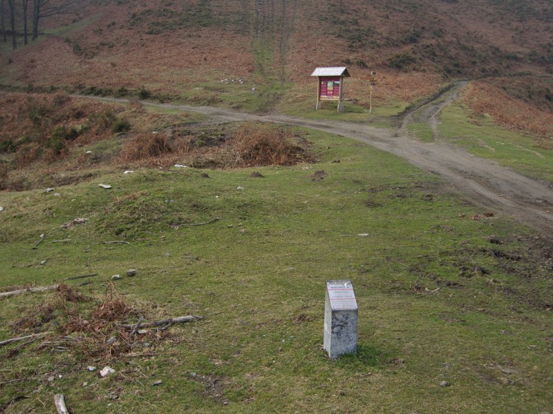 Altzanburuko bi tumuluak