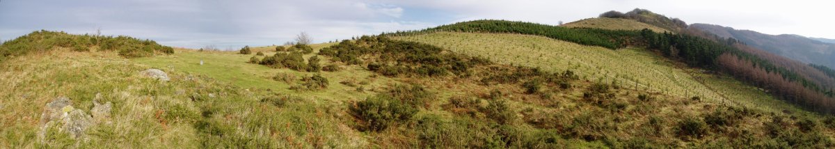 Iruiako trikuharria eta Atxolin