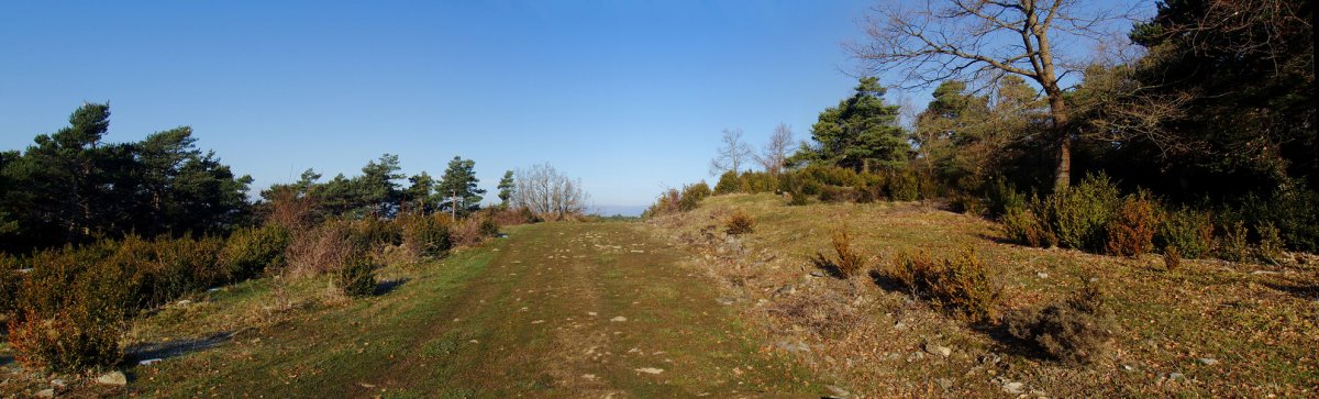 Basagaingo tontor leuna