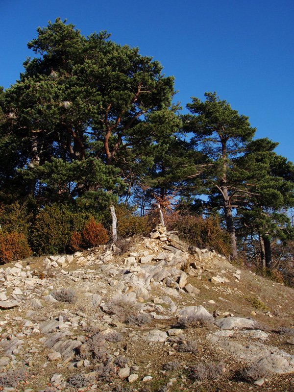 Maliturri (Kozkorro)ko gailurra