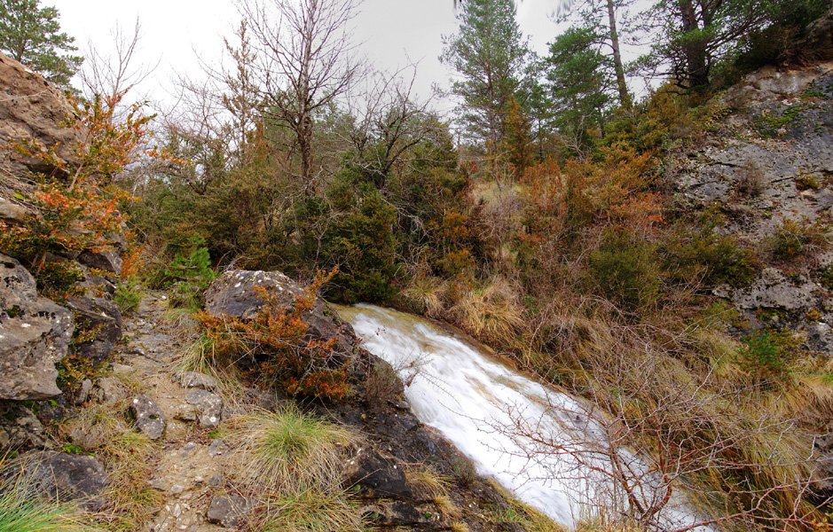 Urjauzia Iturteako errekan