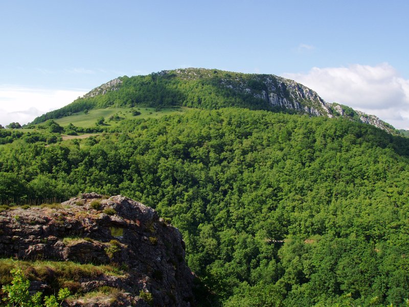 Erodoa Aritztokiko behatokitik ikusita