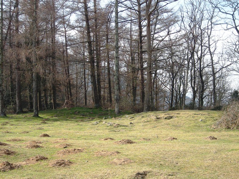 Pittarre harrespilak