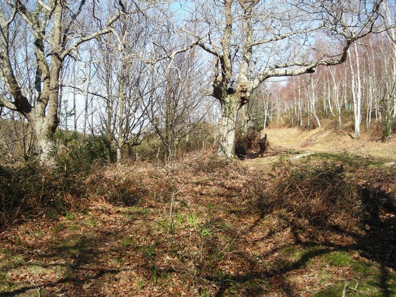 Batzarleku trikuharria