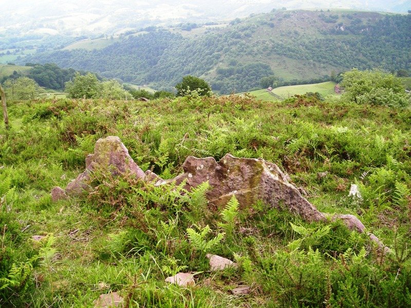 Urriki 1 ekialde trikuharria