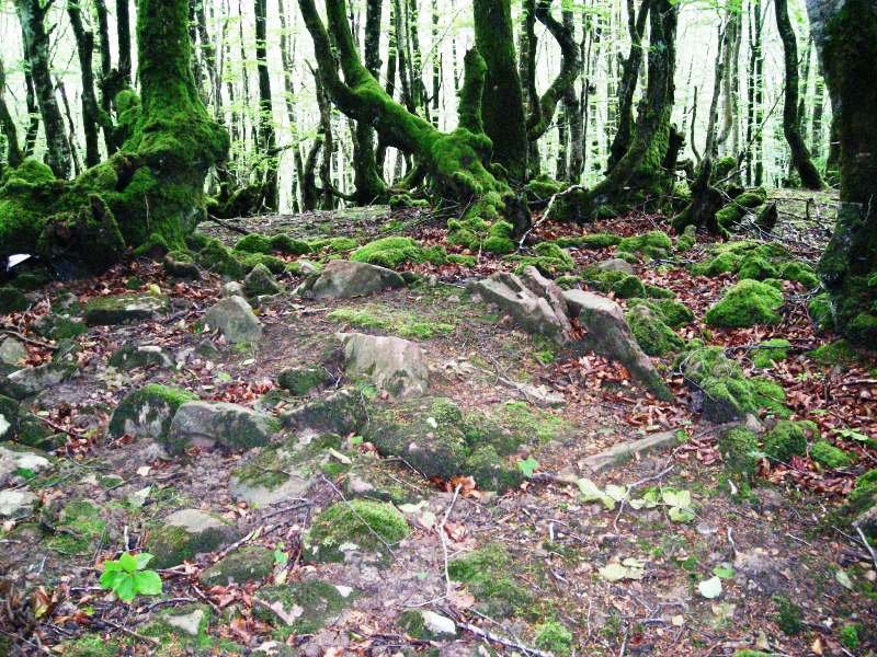 Errandonea 1 ipar trikuharria