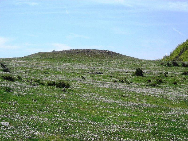 Santa  Teodosia  trikuharria